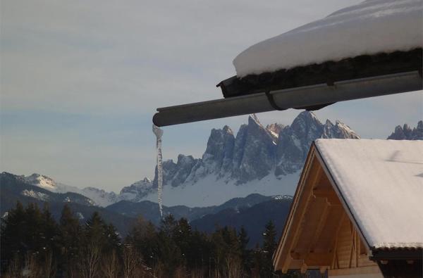 Steierhof - Web Rendition 3